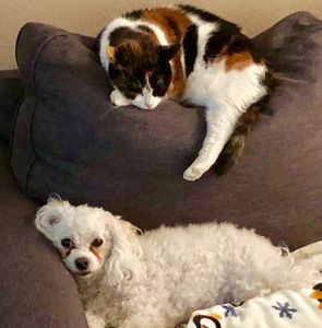 Meet your Posher, Sandy